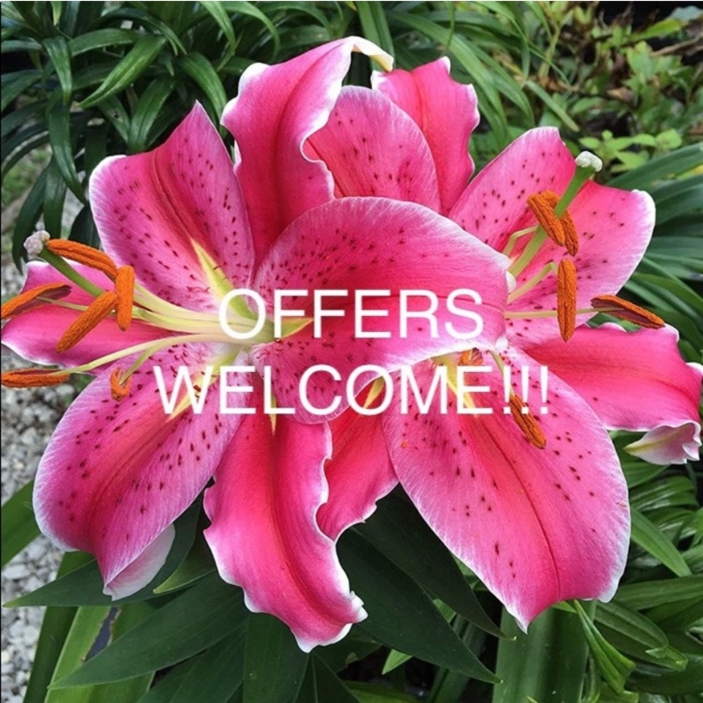 @Makingchange - Picture 2 of 4